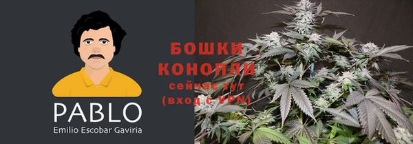 ALPHA PVP Вяземский