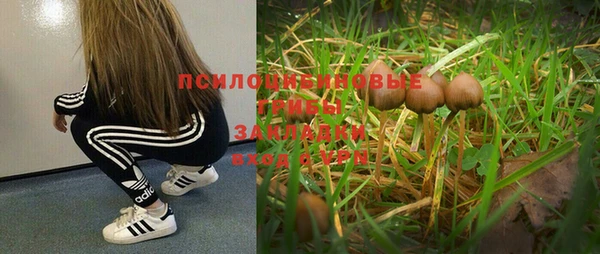 2c-b Вязники