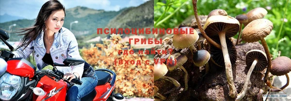 амф Вязьма