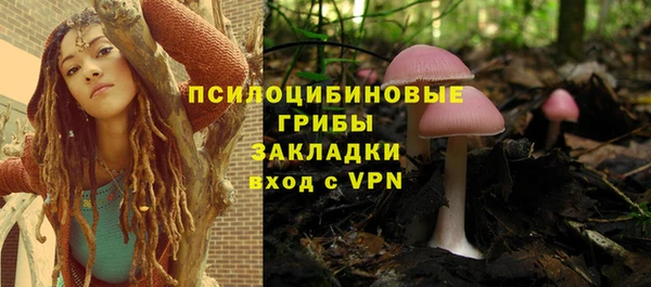 ALPHA PVP Вяземский