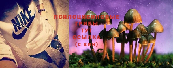 ALPHA PVP Вяземский