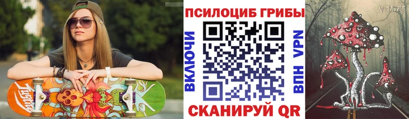 Купить закладки Боровичи Псилоцибиновые грибы ЛСД